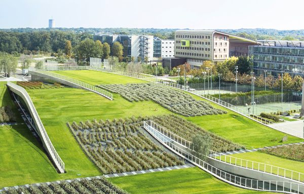 green roofs csc